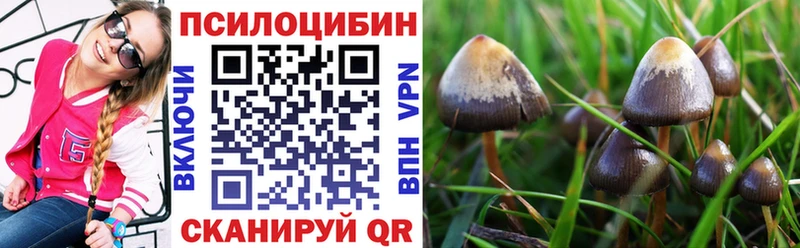 Псилоцибиновые грибы прущие грибы  Владикавказ 
